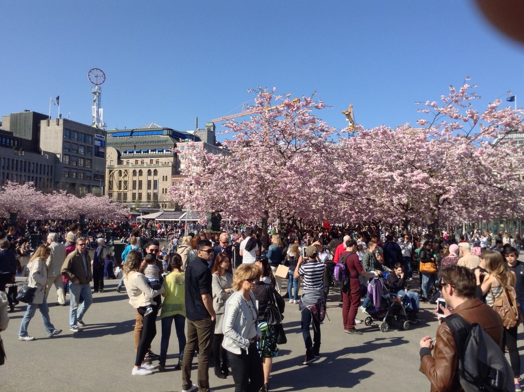 cherry-blossom-street-place-eat-f5505751