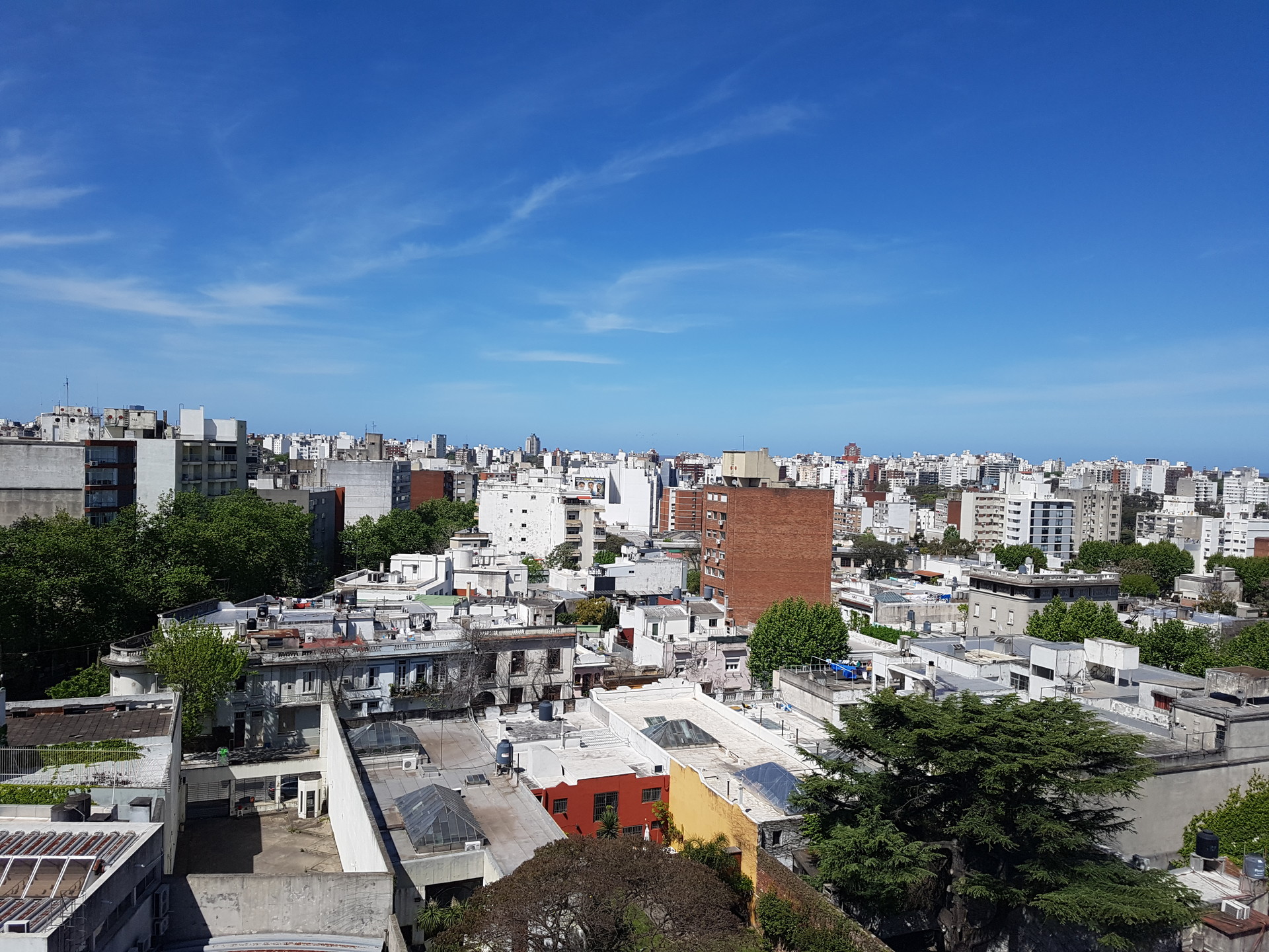 Comfortable apartment in the middle of Montevideo‘s best neighborhood