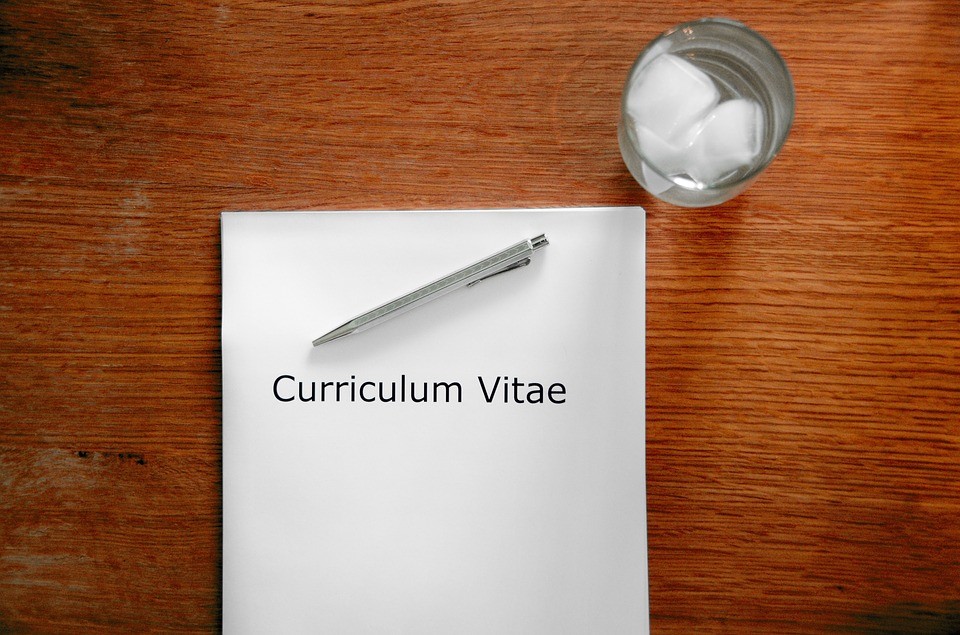 How To Write A Cv The Best Bits Of Advice Step By Step Erasmus Tips