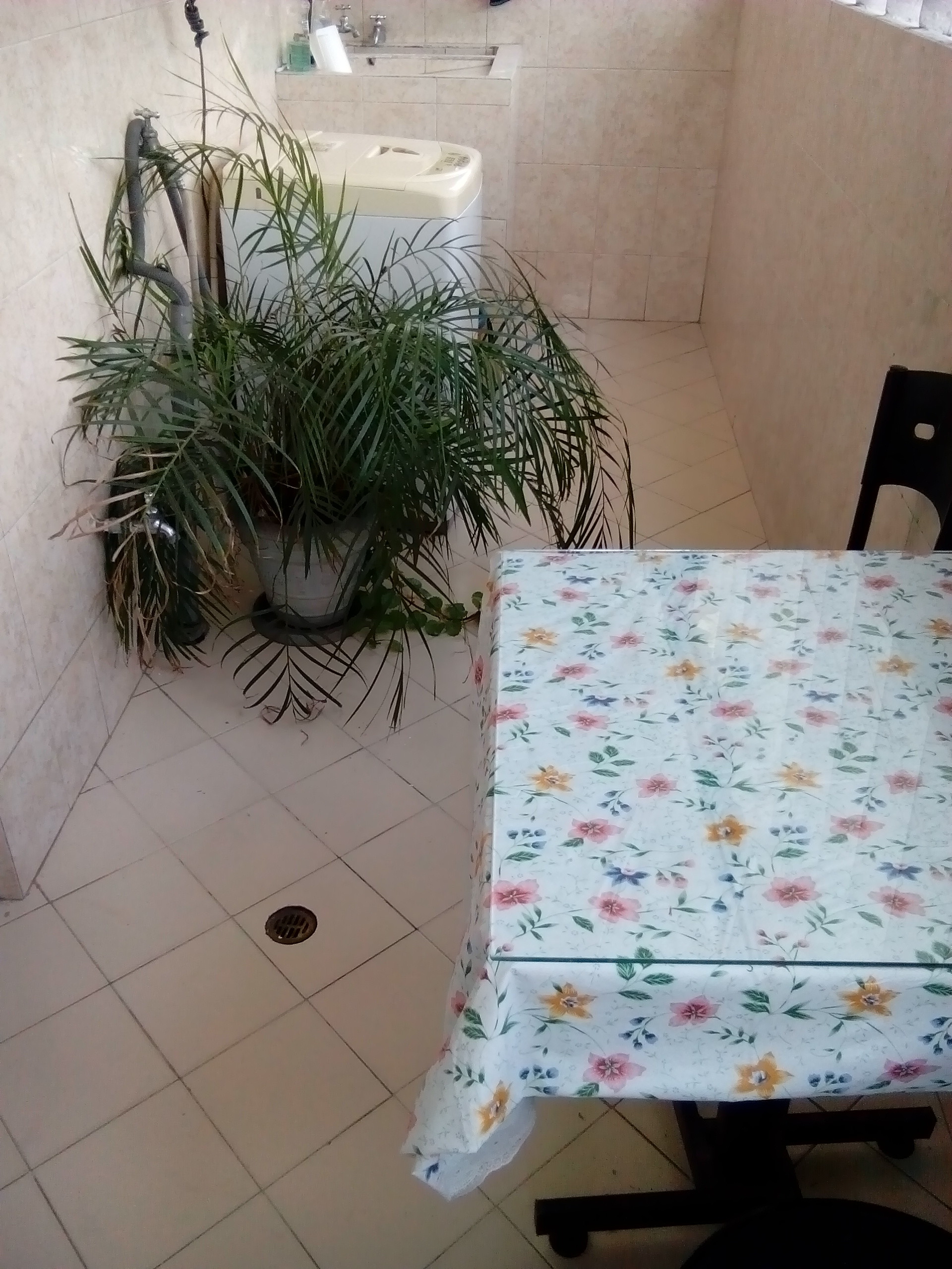 COMPARTO PISO EN APARTAMENTO AMPLIO BOGOTA | Alquiler habitaciones Bogotá