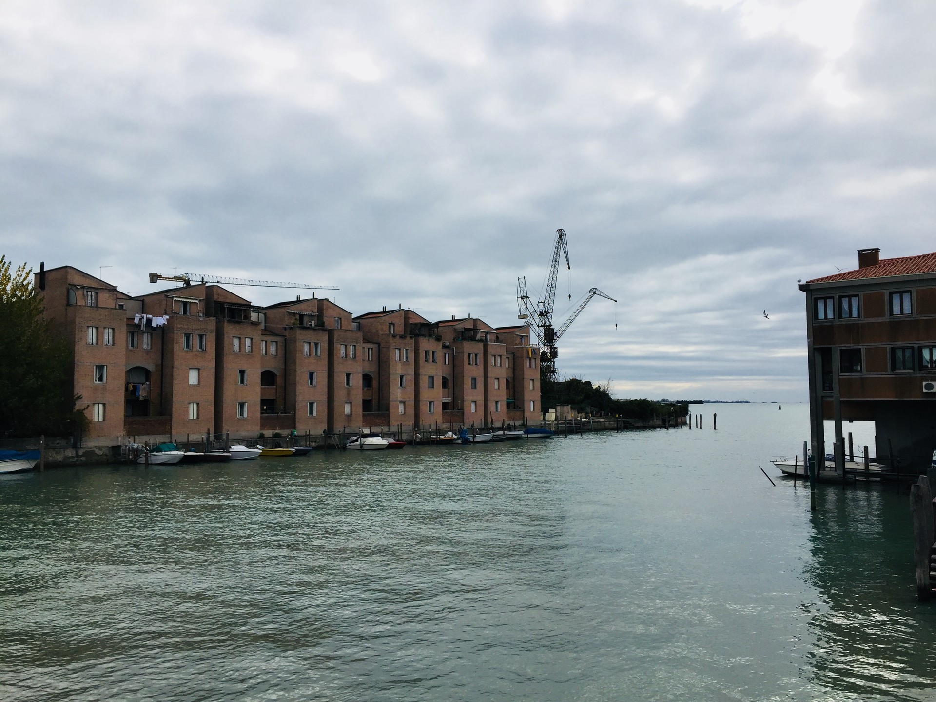 CONTEMPORARY VENICE 2017