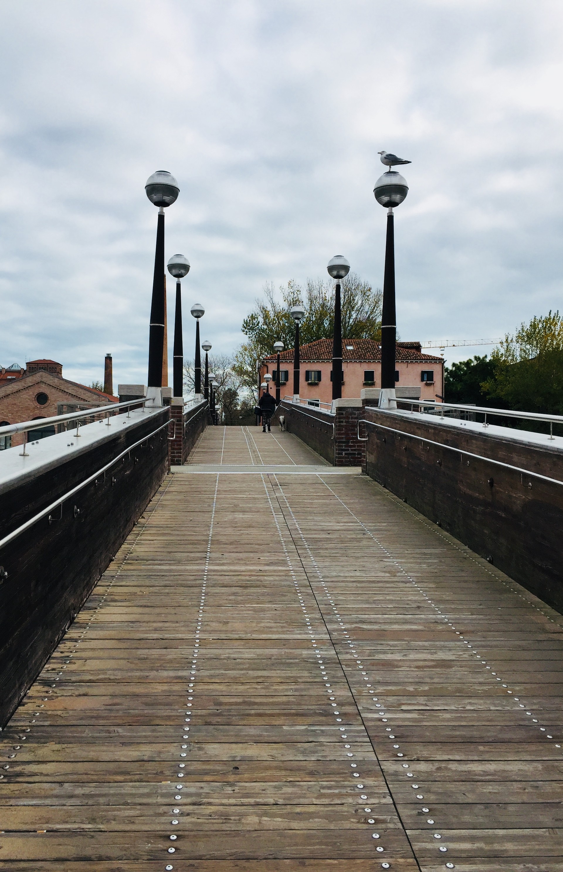 CONTEMPORARY VENICE 2017