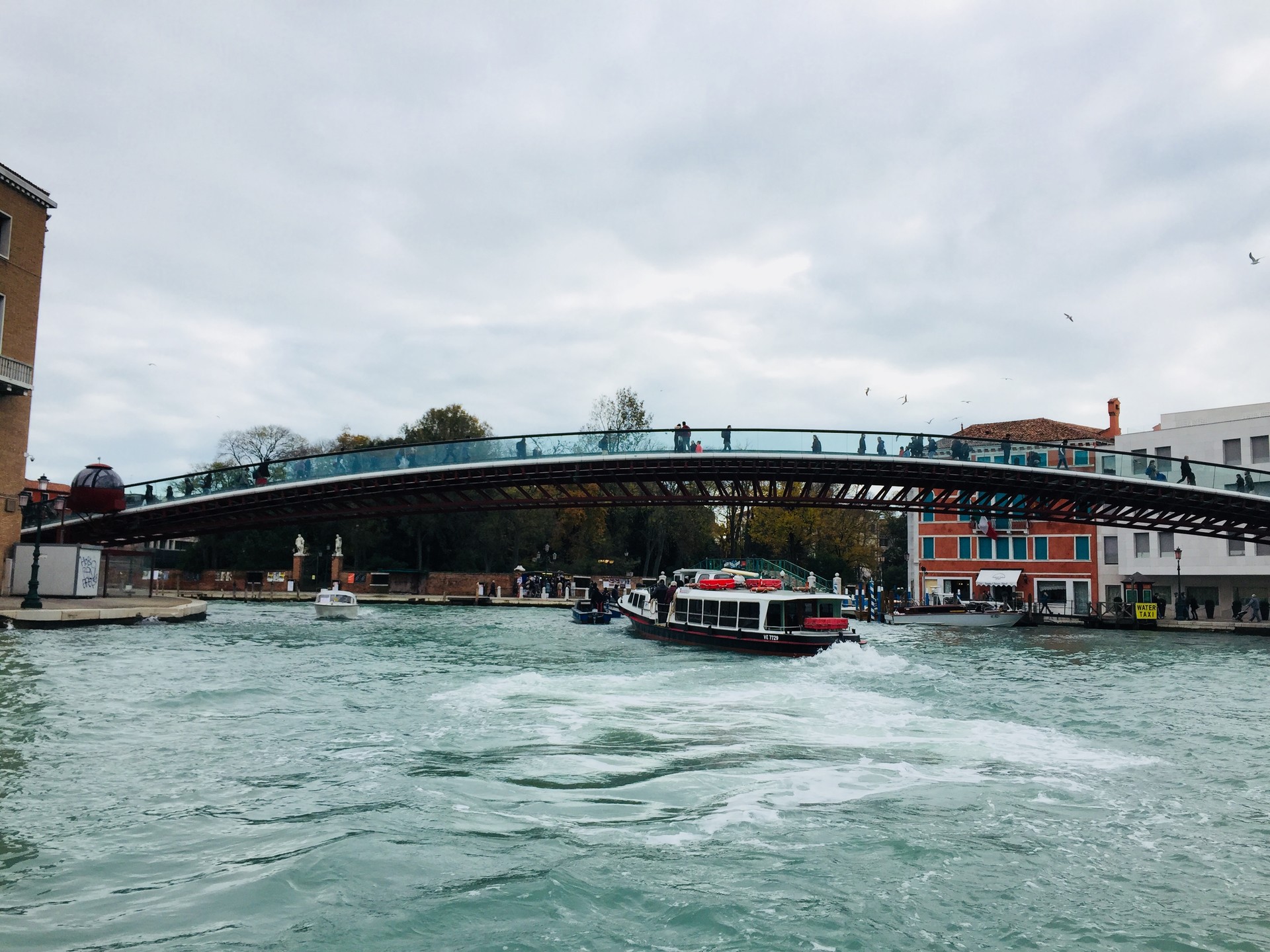 CONTEMPORARY VENICE 2017