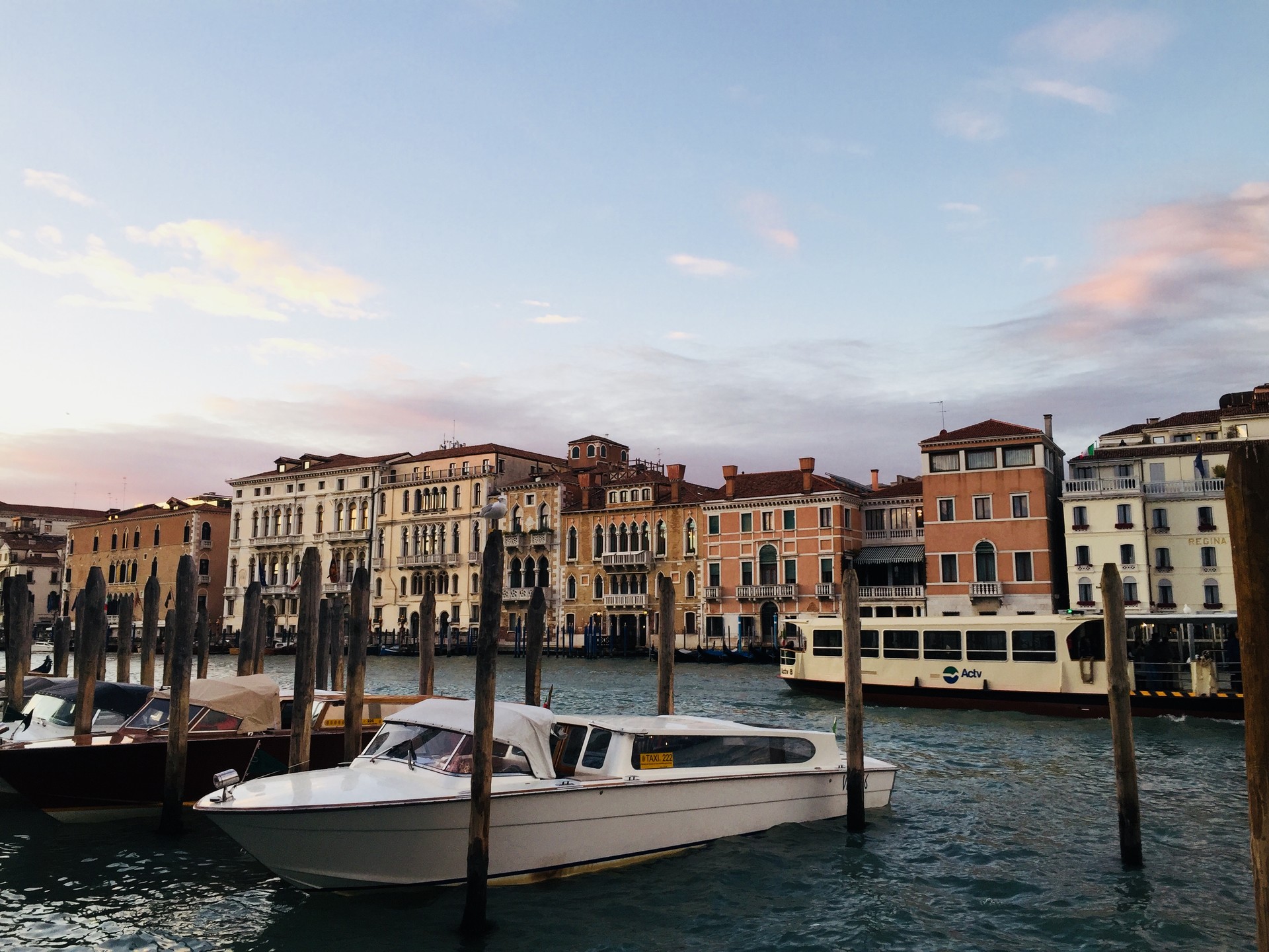 CONTEMPORARY VENICE 2017