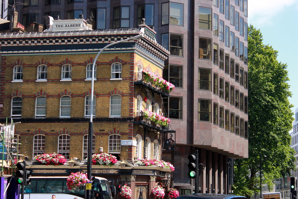 Contrasting life stiles