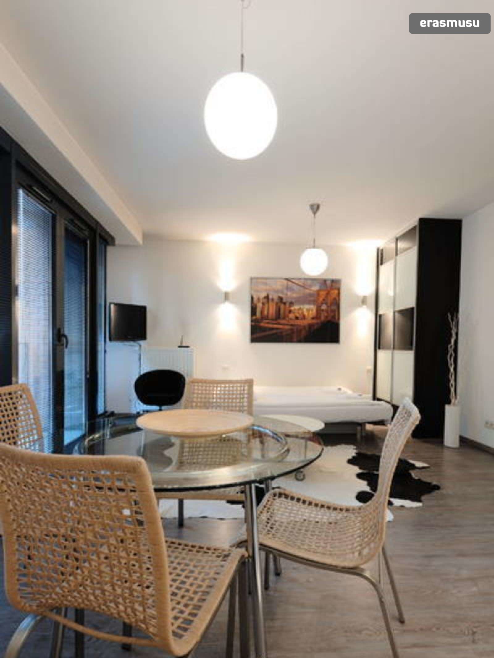 Cool Studio Apartment For Rent Near The Grunwald Monument In Stare Miasto Rent Studios Krakow