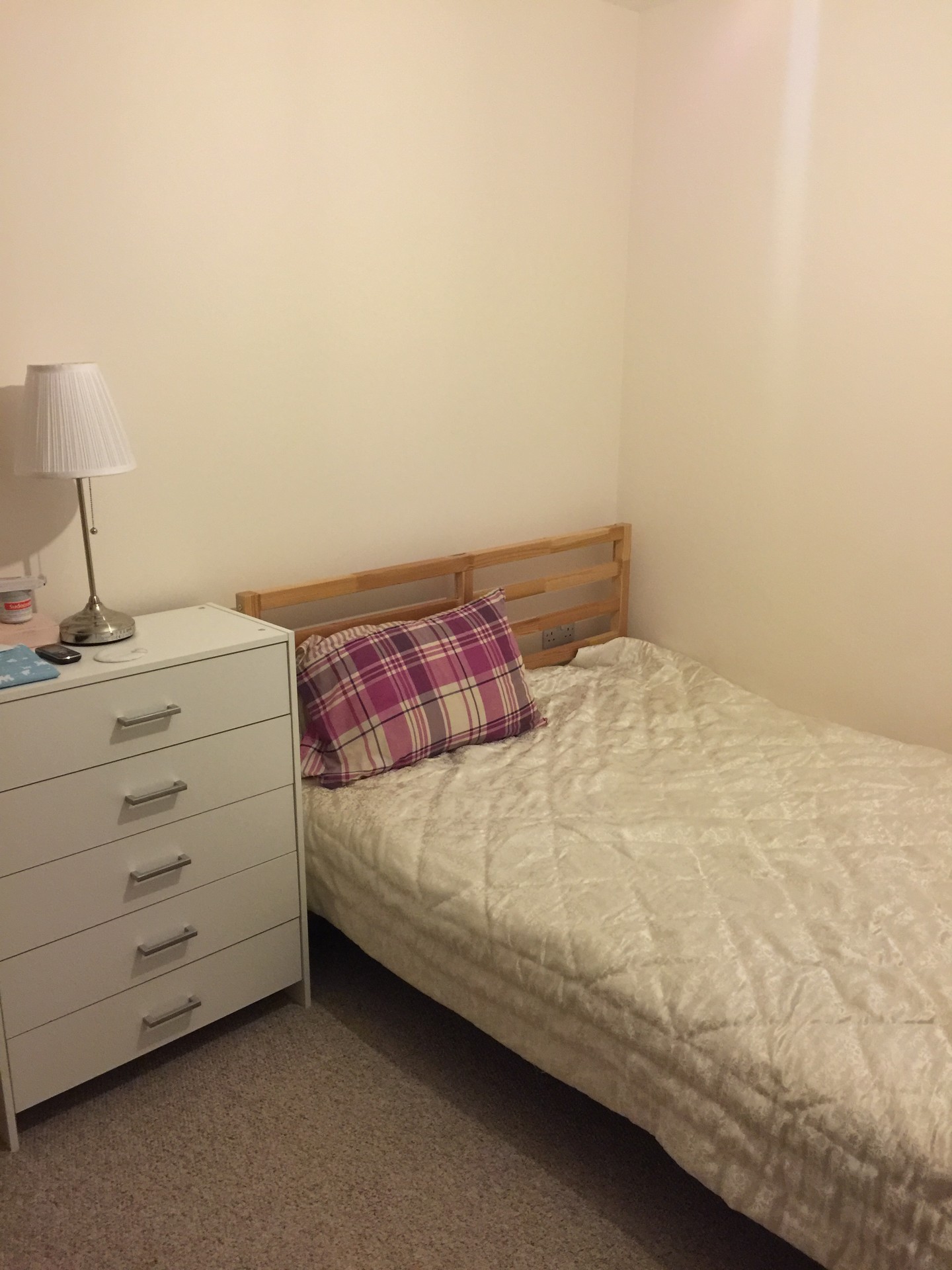 Cozy and Stunning room in London Flat rent London
