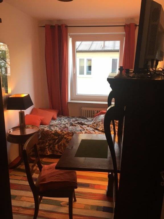 spacious-one-bedroom-apartment-available-for-rent-in-munich-room-for