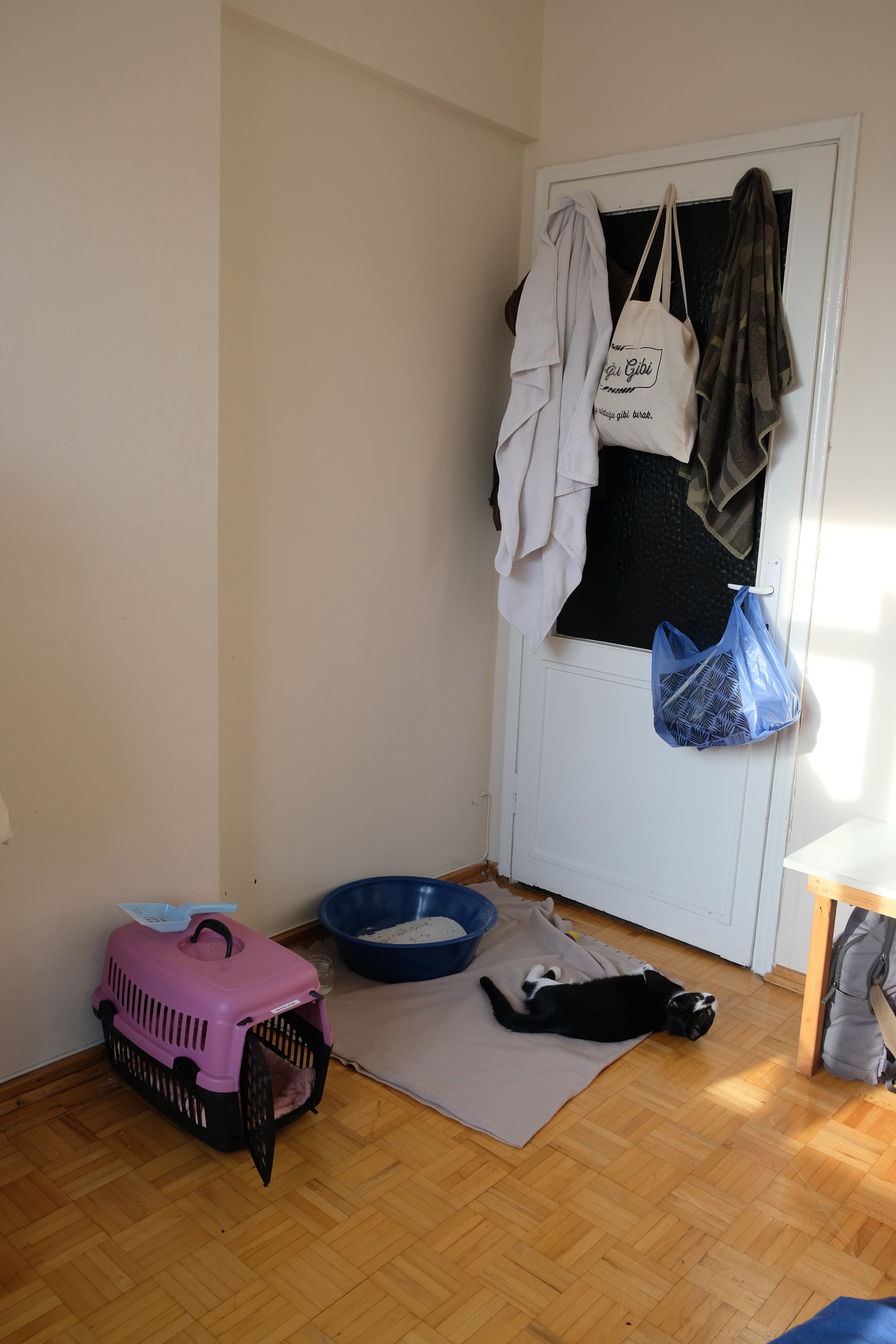 Kadıköy Paylaşımlı Ev Istanbul Kiralık evler