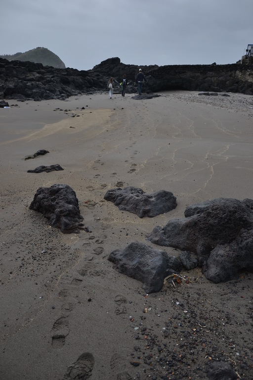 Zdjęcie bez tytułu