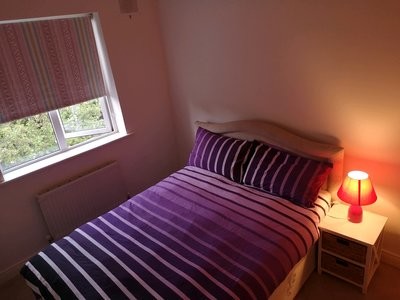 Property Overview Double Bedroom 1 Person Currently Living In This House House Rent A House Dublin
