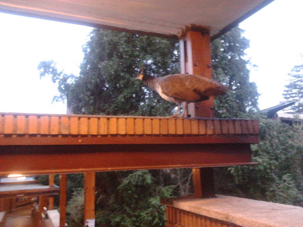 Deusto campus, San Sebastián