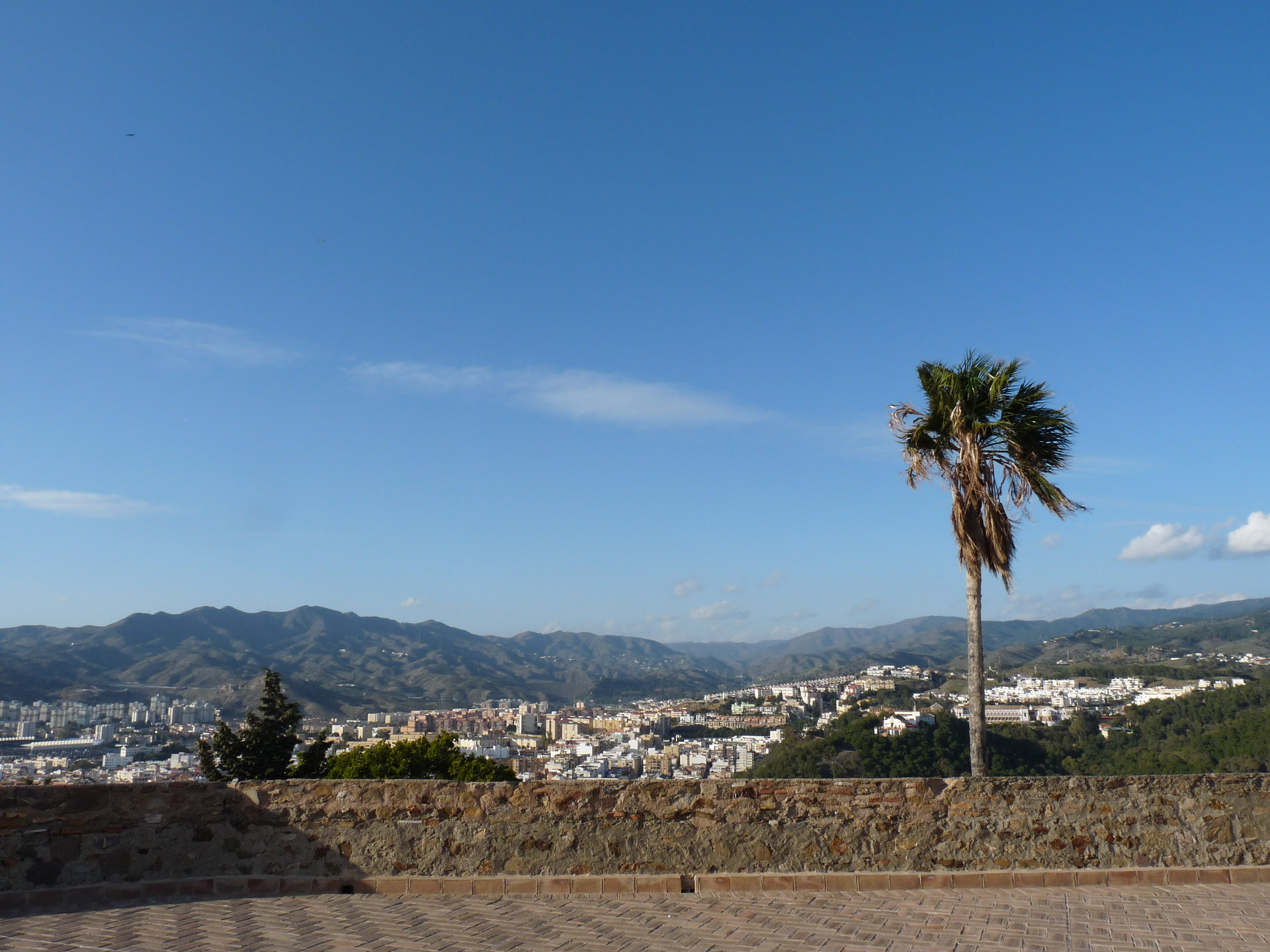discovering-malaga-getting-know-spanish-