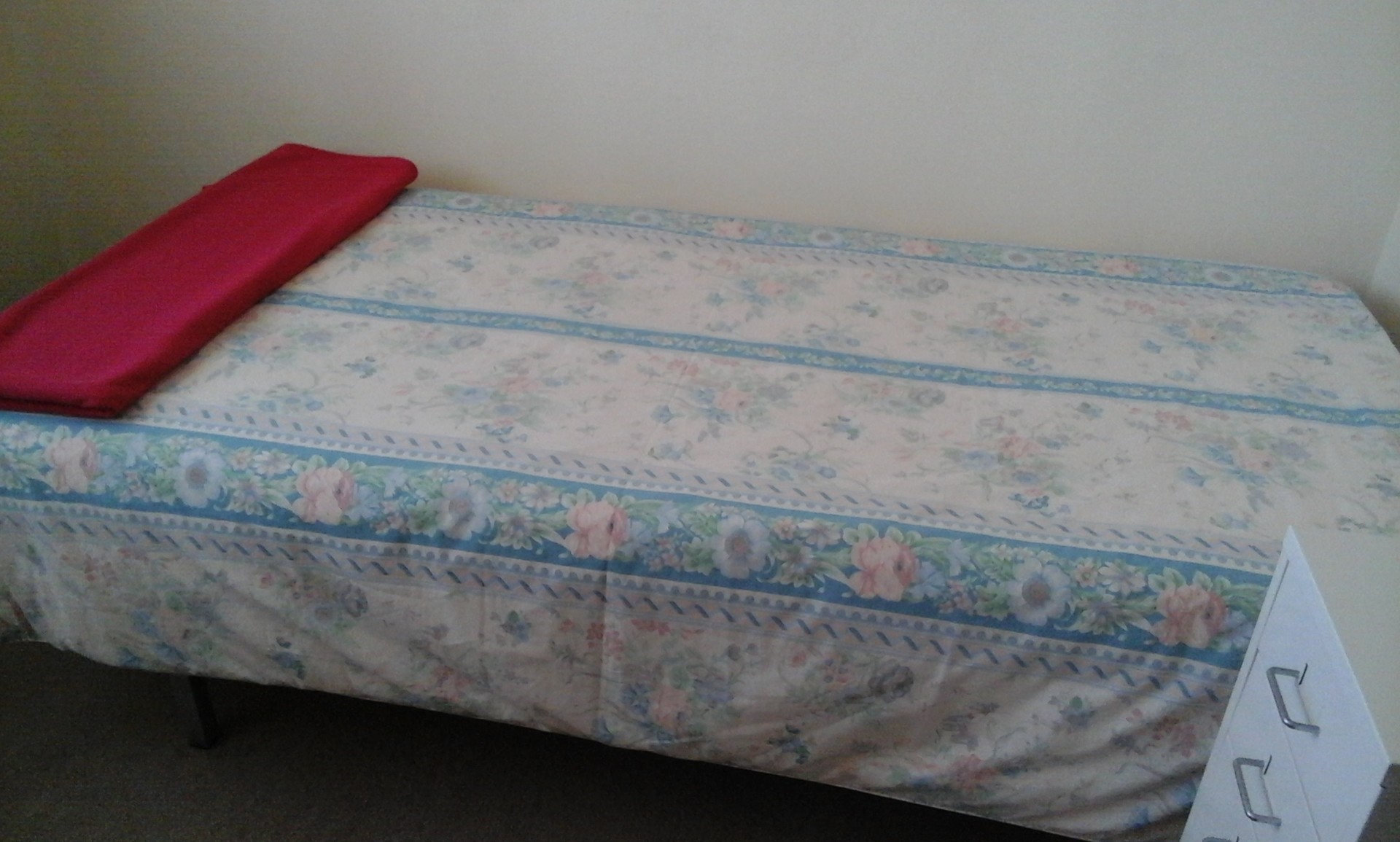 Dois quartos Sto Ovidio