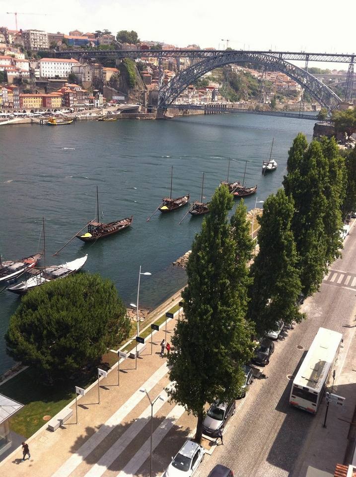 Douro river and Ponte Luis