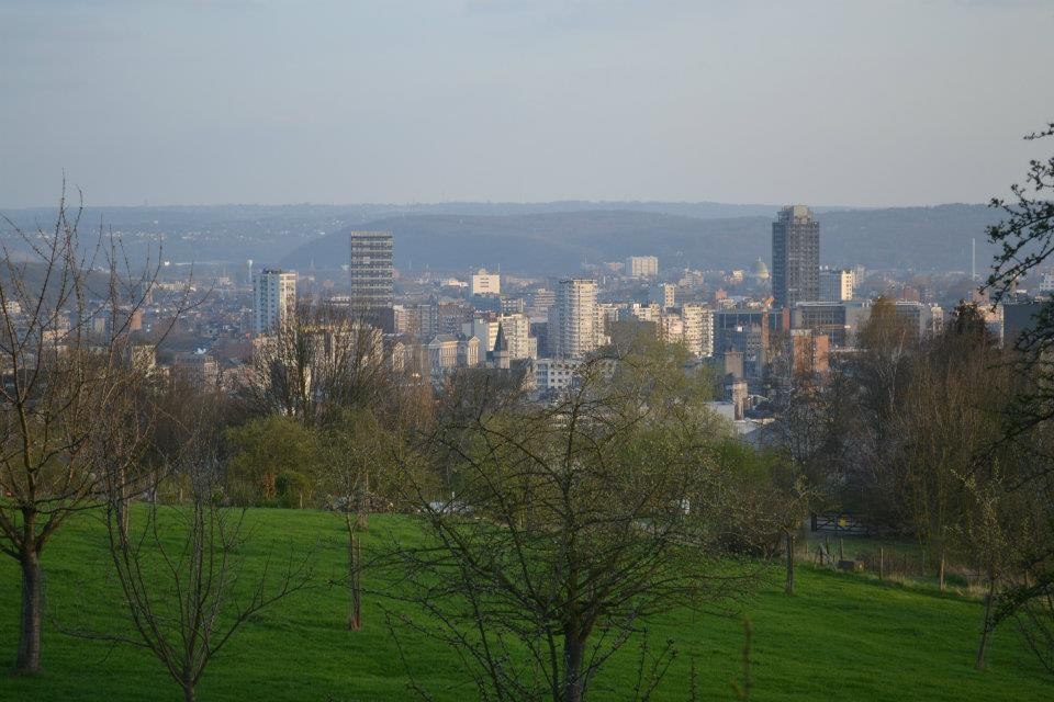 Du haut des marches de Buren