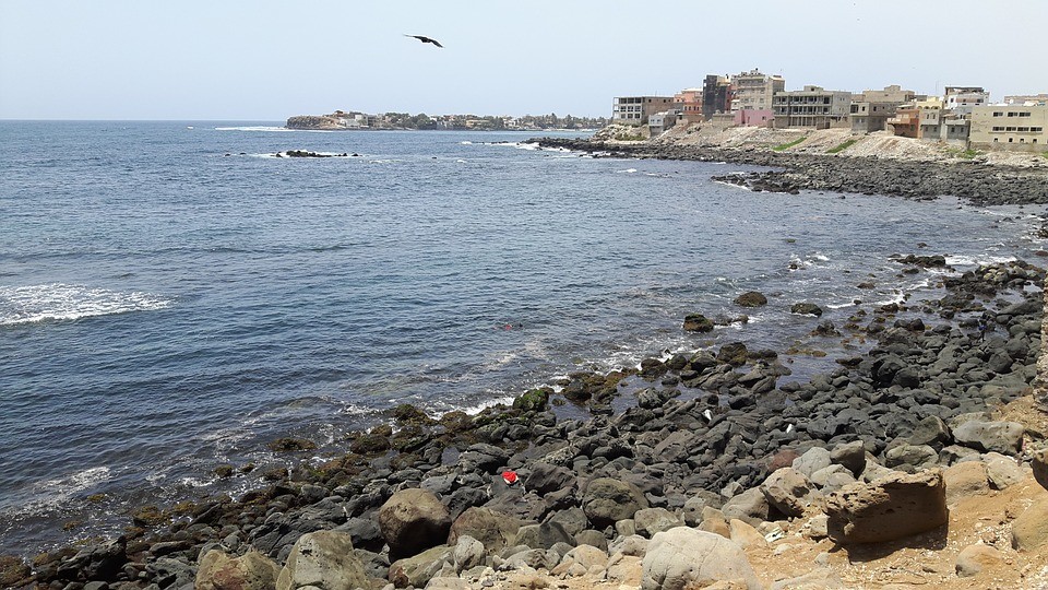 Duiken in Dakar