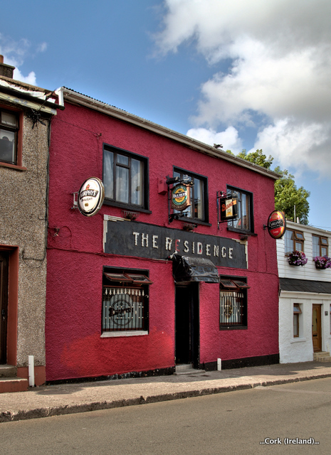 Zdjęcie bez tytułu