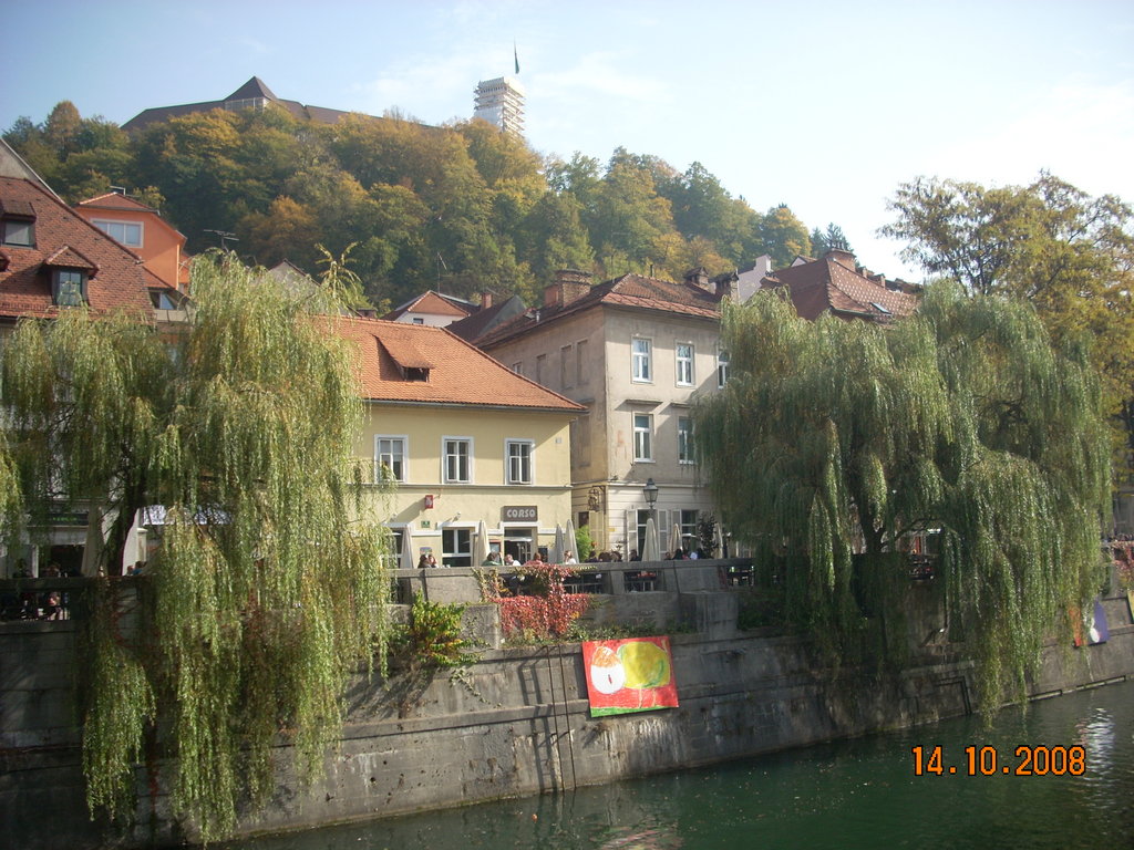 Castillo visto desde el río