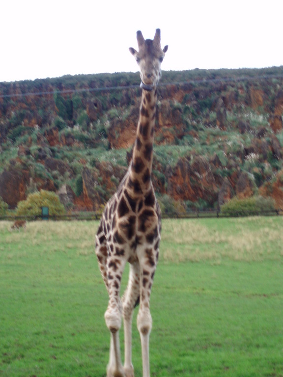 Parque natural Cabárceno