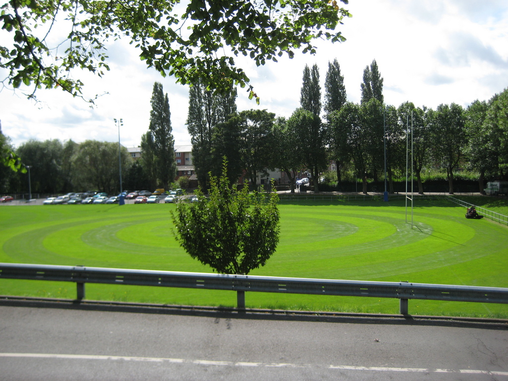 The rugby stadium