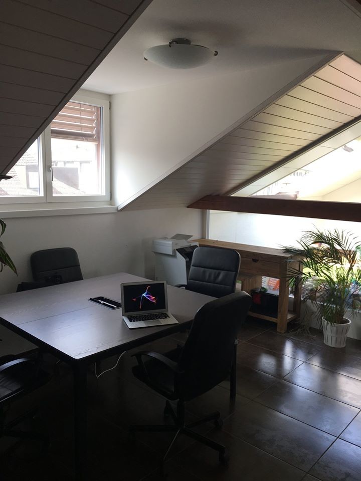 Fully furnished room in a high end modern and spacious flat in Zürich
