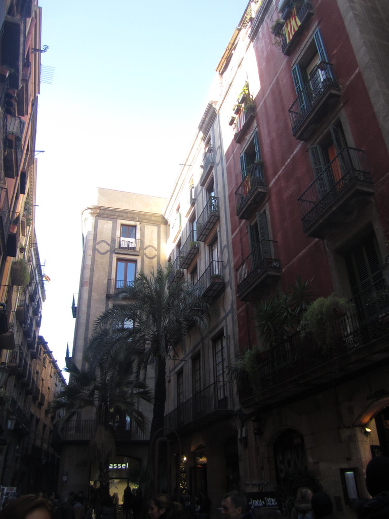 El barrio con más encanto de Barcelona: el Born