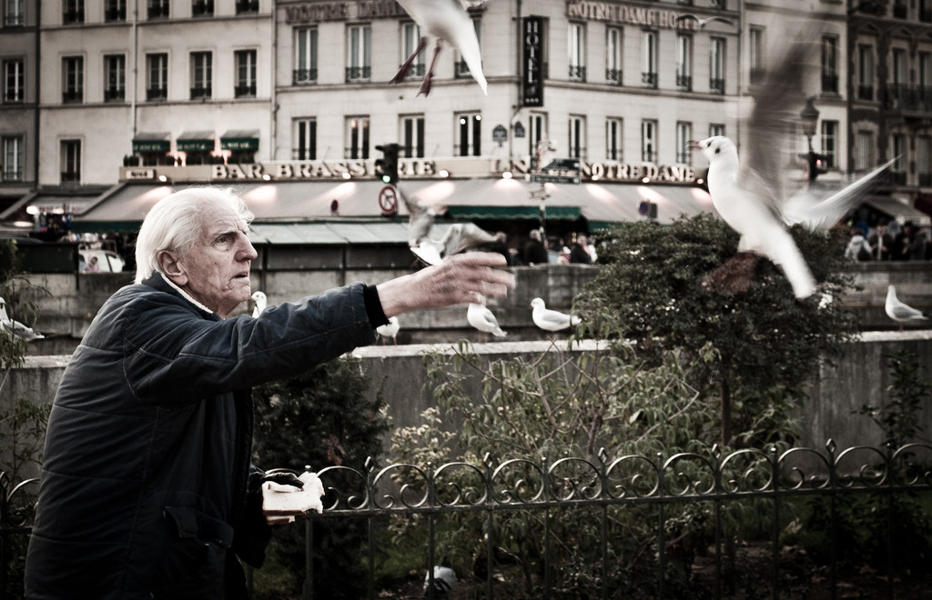 Elderly man in Paris