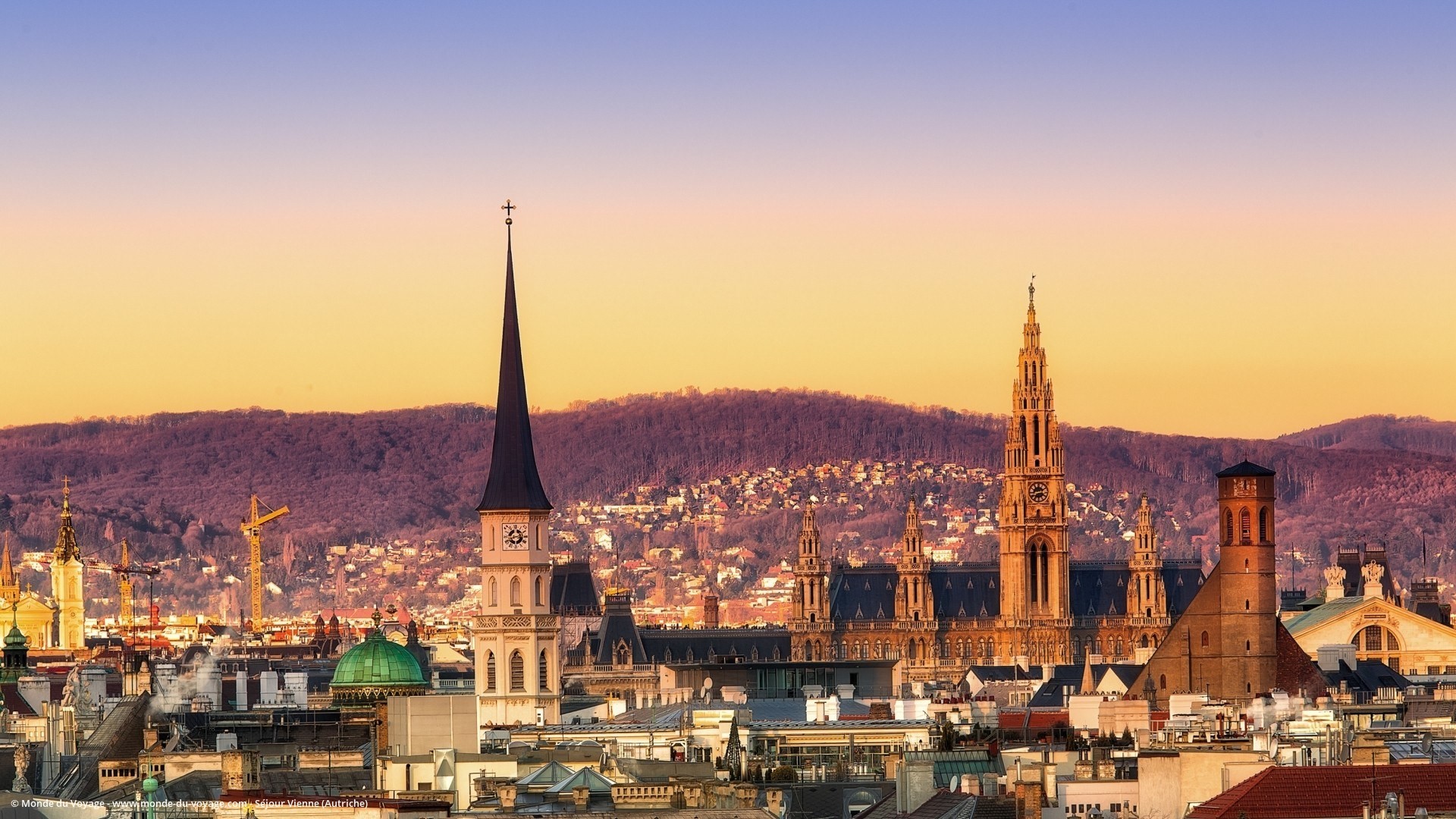 Erasmus experience in Vienna, Austria | Erasmus experience Vienna