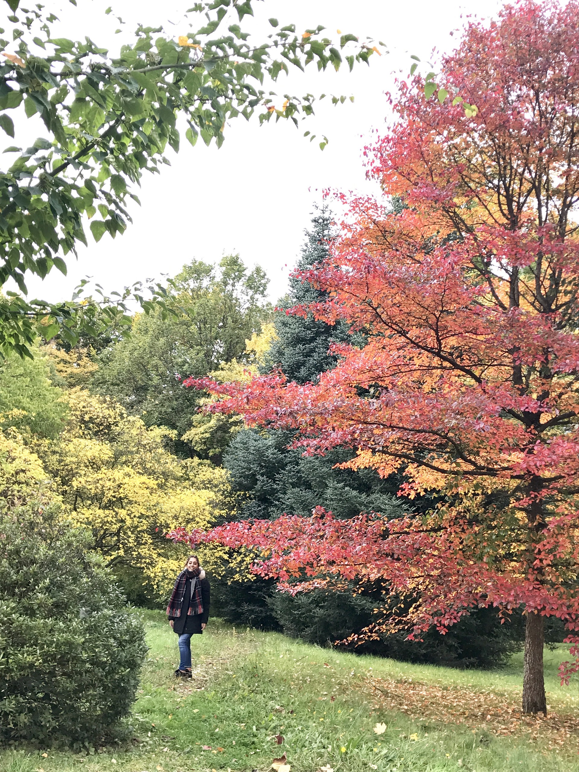 Erasmus in saarbrucken 