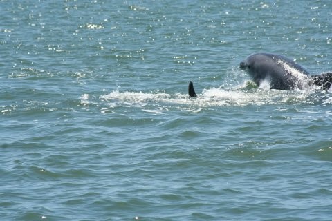 Erasmus Setubal Residence