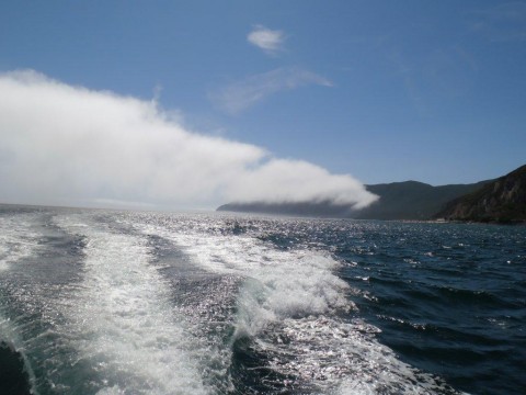 Erasmus Setubal Residence