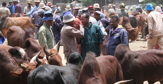 ethiopian-easter-6a11d448aaa7d3e32e70484