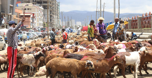 ethiopian-easter-7e0a7bd630a228c047e78c4