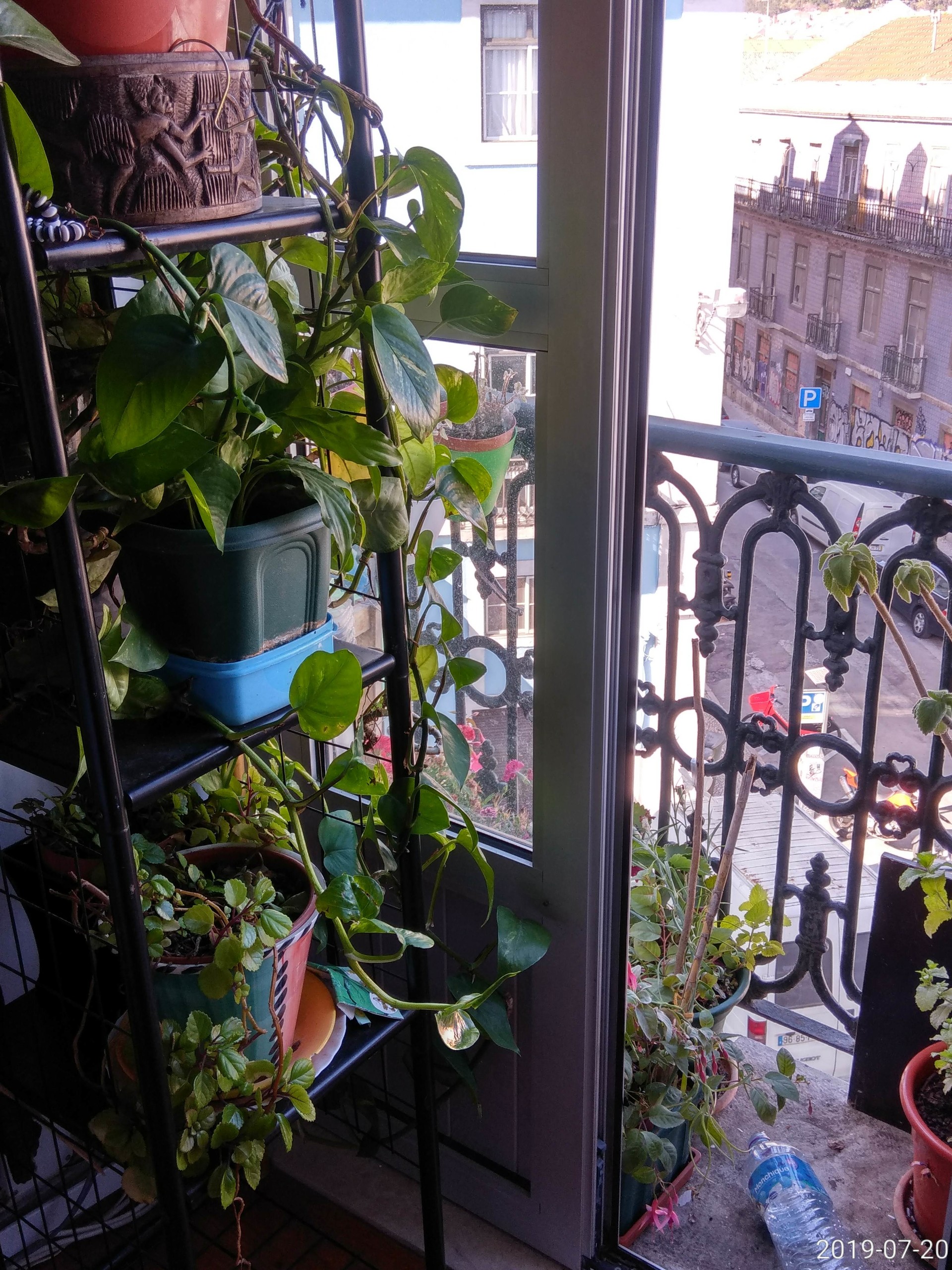 Excellent Single room at Lisbon Baixa Chiado