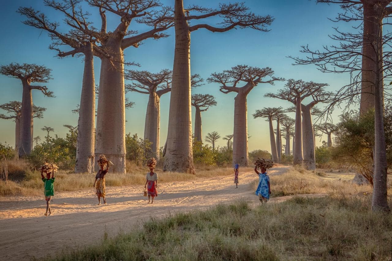 madagascar tourist group