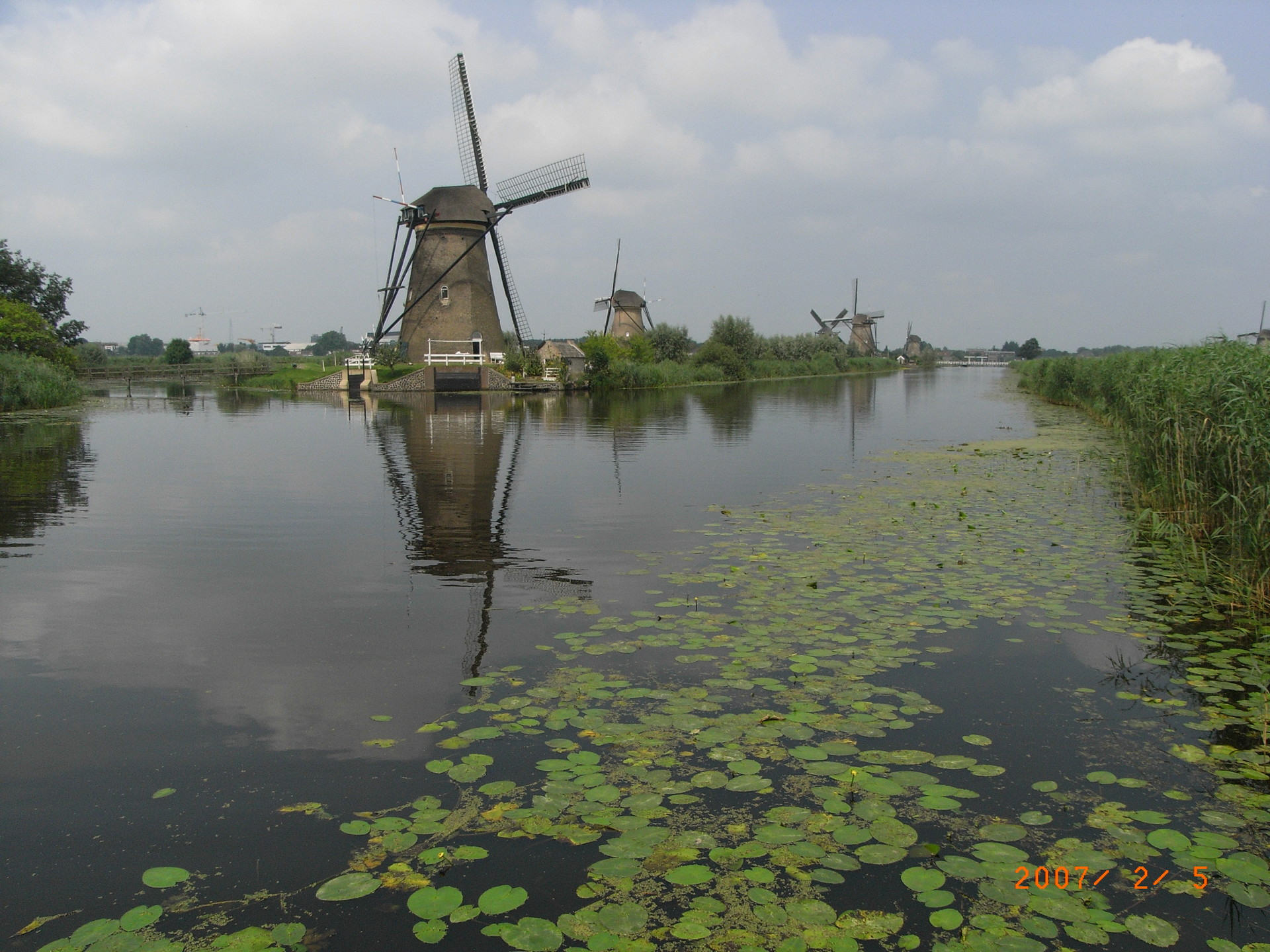 Experiencia y Consejos Erasmus en Wageningen, Holanda Experiencia