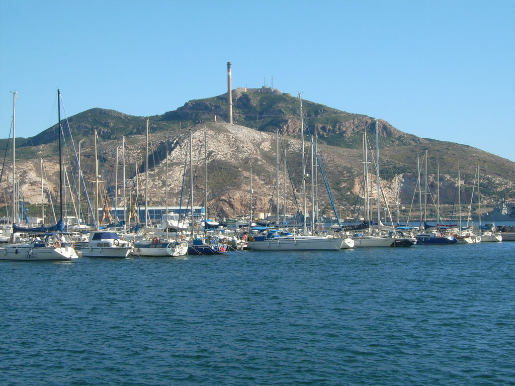 Zdjęcie bez tytułu