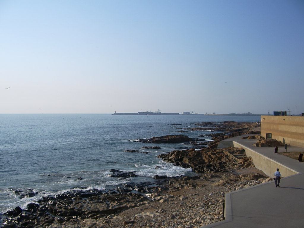 Zdjęcie bez tytułu