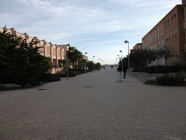 De camino a la biblioteca