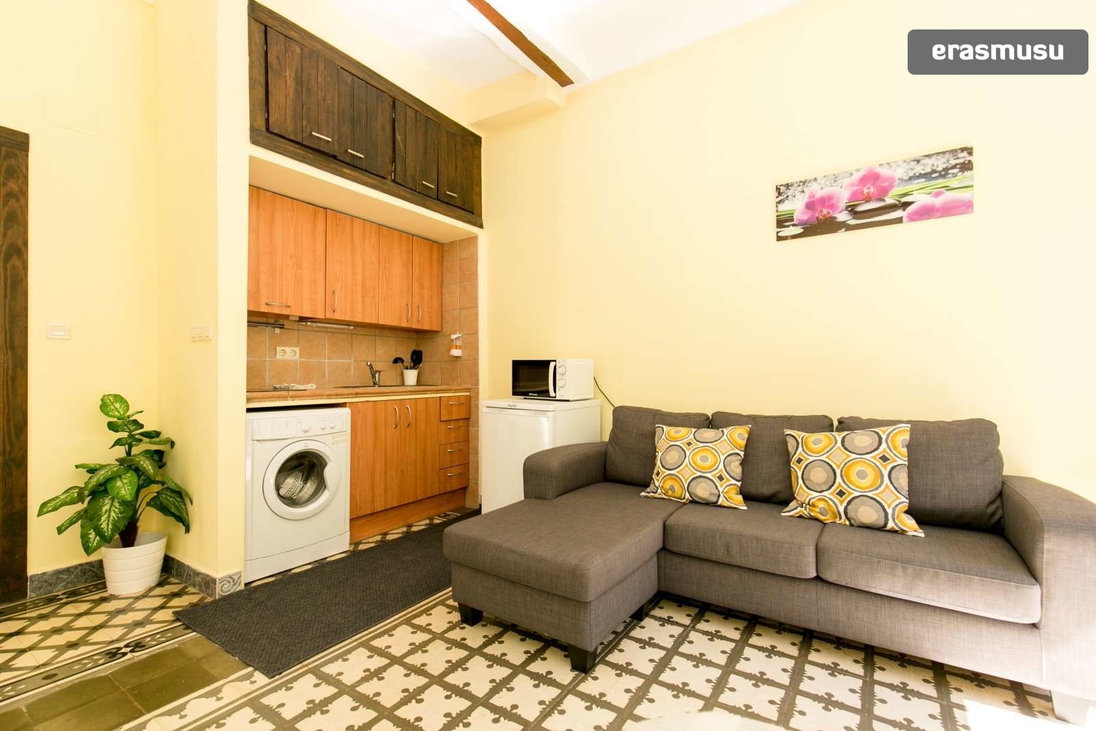 Fantastic studio apartment for rent with view of the Alhambra in