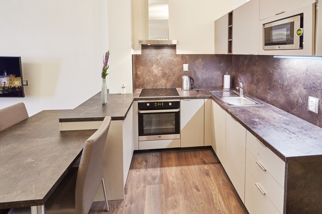 Fully equipped Studio apartment in Ceske Budejovice (CZE) Flat rent