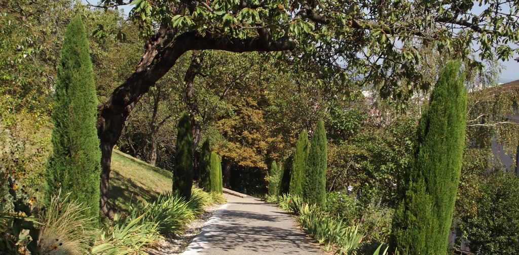 Gardens around the Basilica