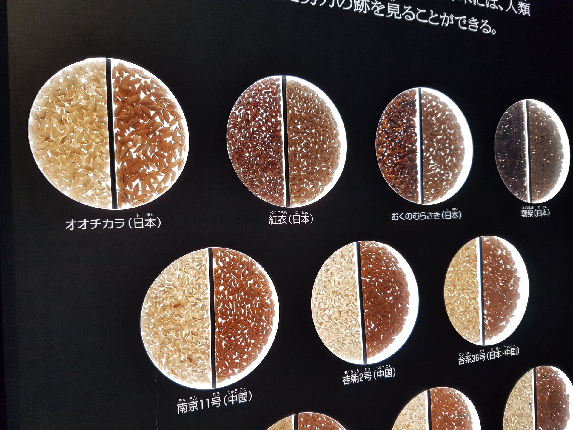 geeking-tokyo-national-museum-science-85