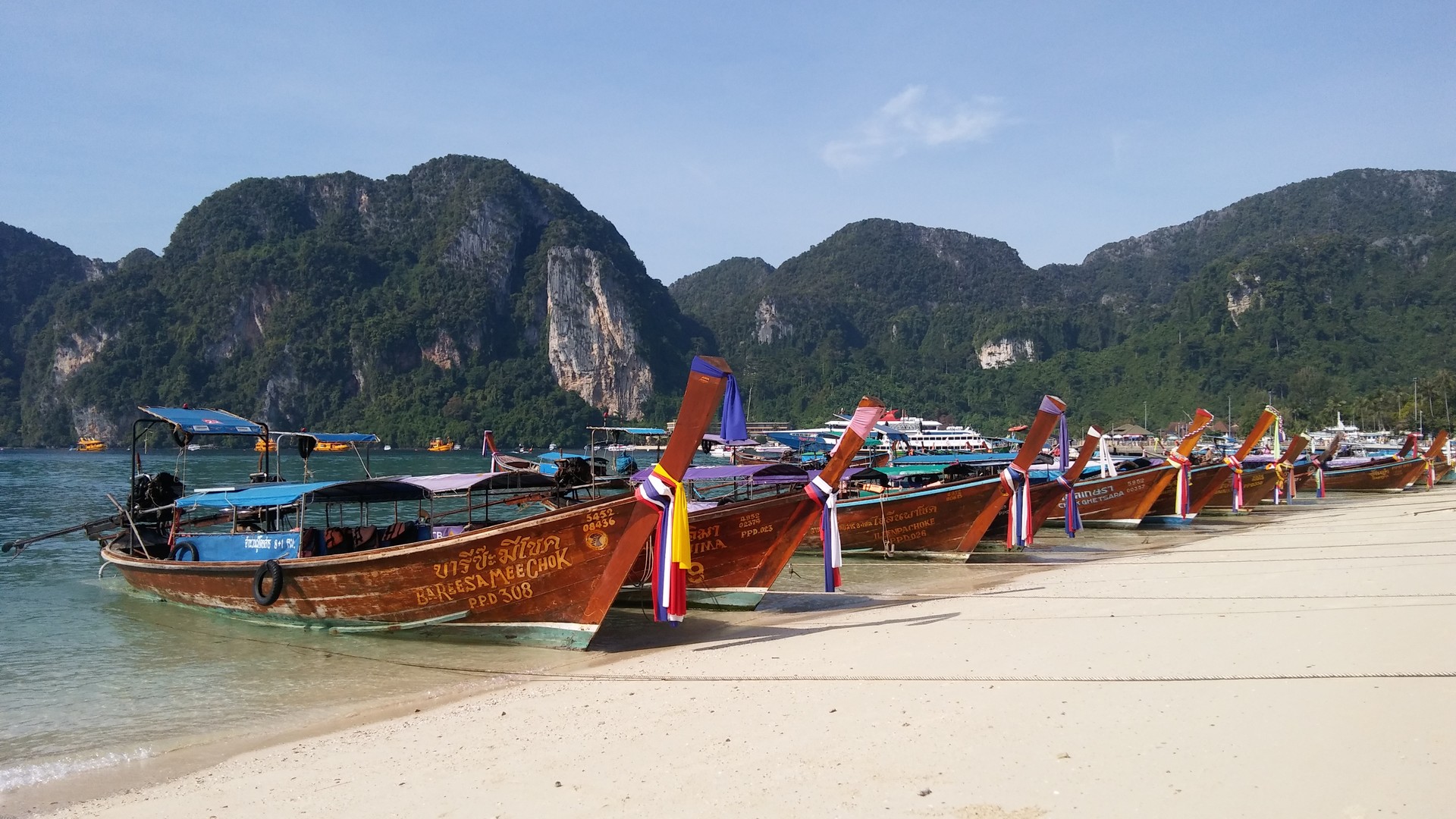 Monkey island, tailandia le scimmie sono sulla spiaggia in riva al