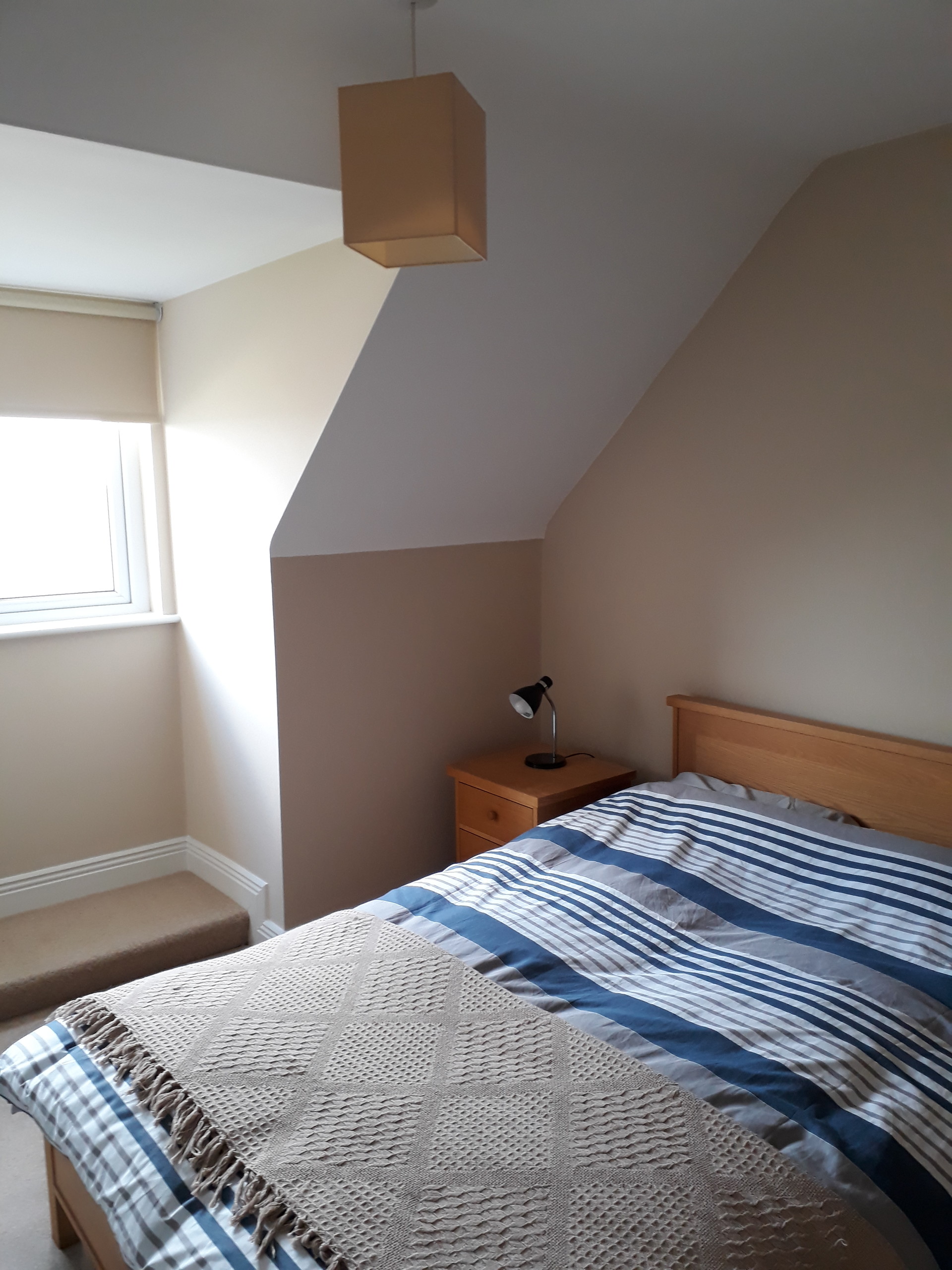 Great Room To Rent In Shared Apartment Room For Rent Cork 0236