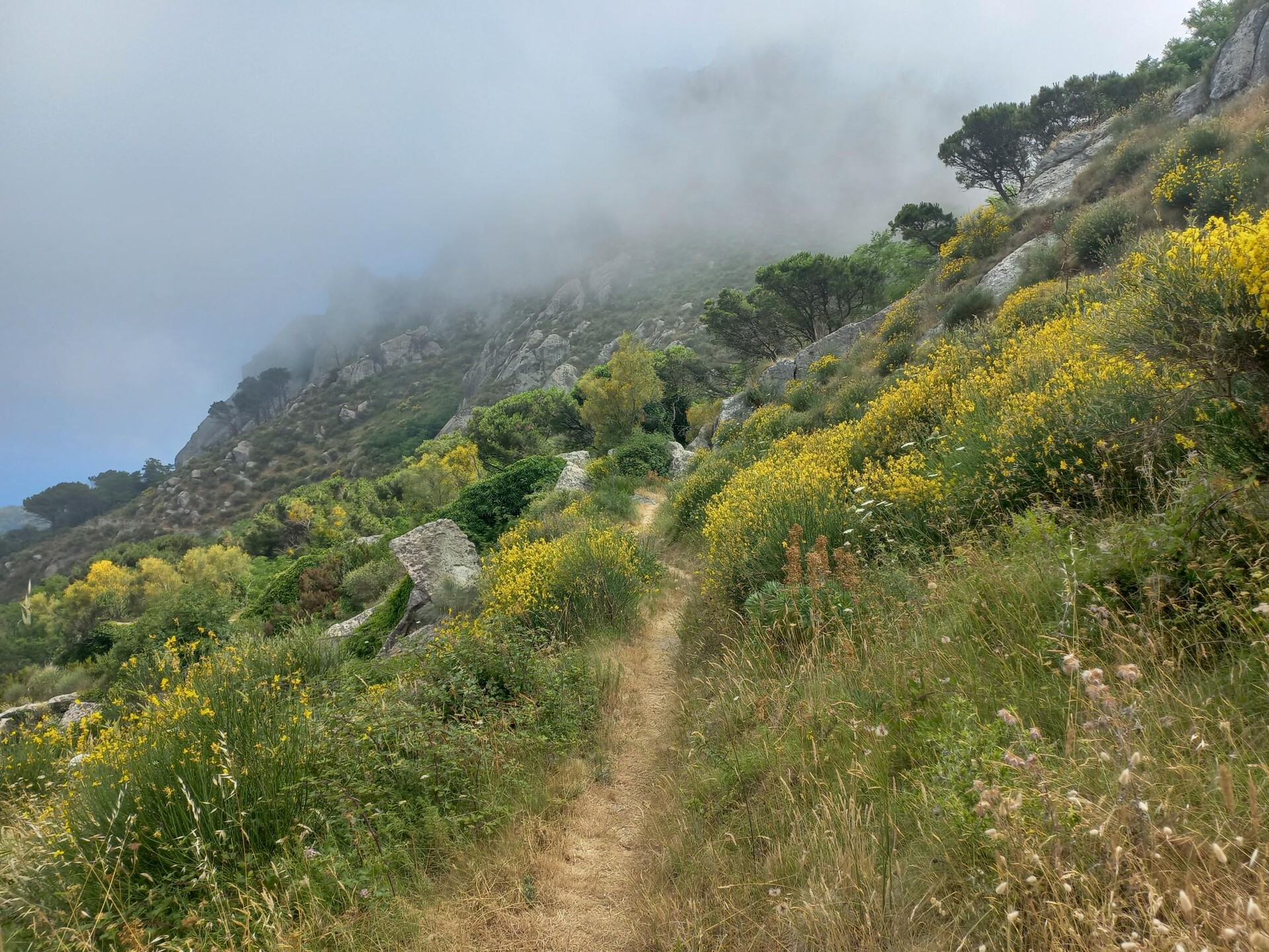 Hiking trail on western Ischia Island