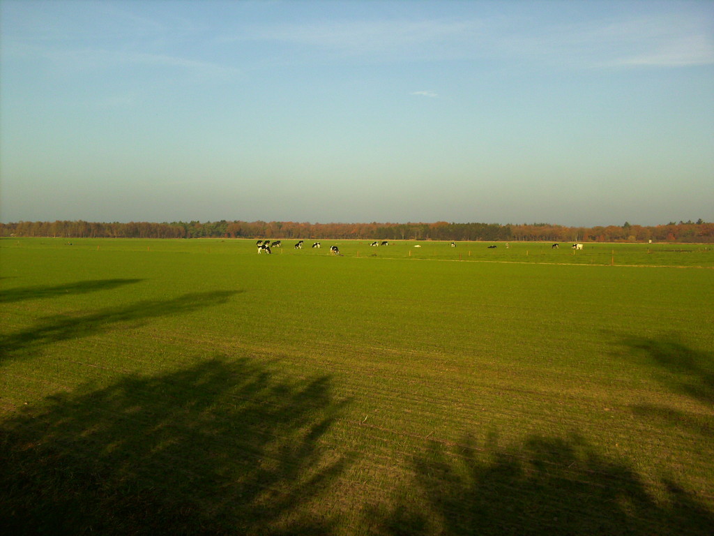 holland-valleys-farms-cfa0e864a0de6ba806