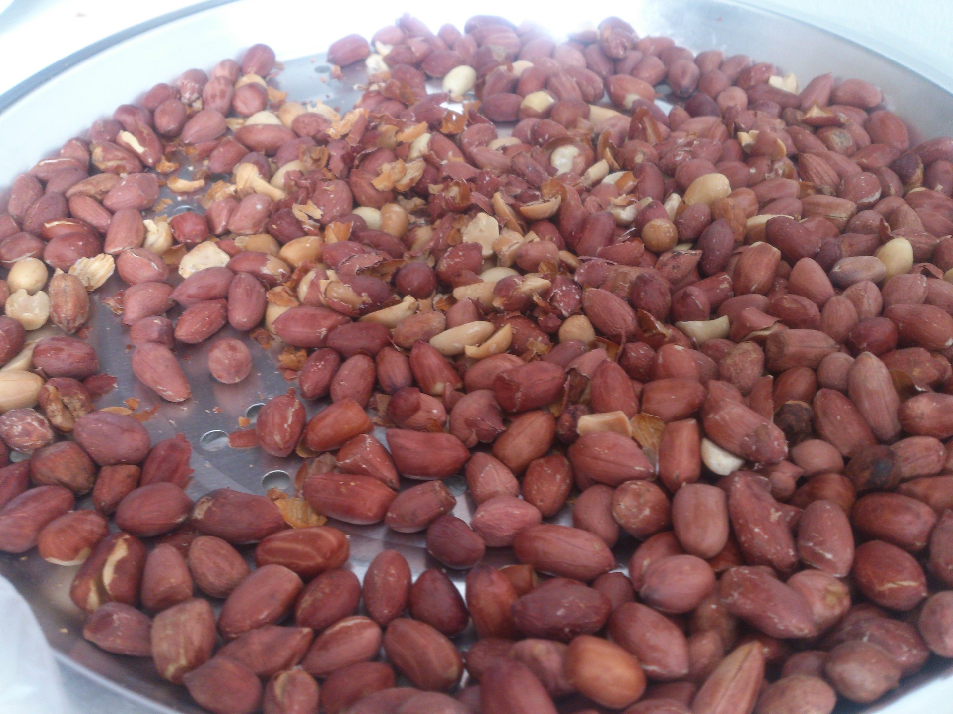 How To Roast Peanuts In Convection Oven Erasmus Recipes