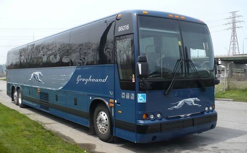 How To Survive A Greyhound Bus Trip Erasmus Tips